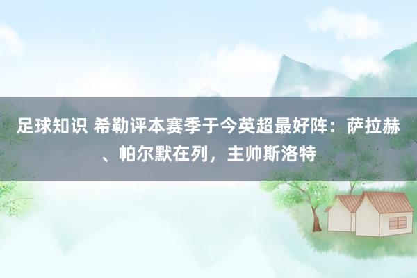 足球知识 希勒评本赛季于今英超最好阵：萨拉赫、帕尔默在列，主帅斯洛特