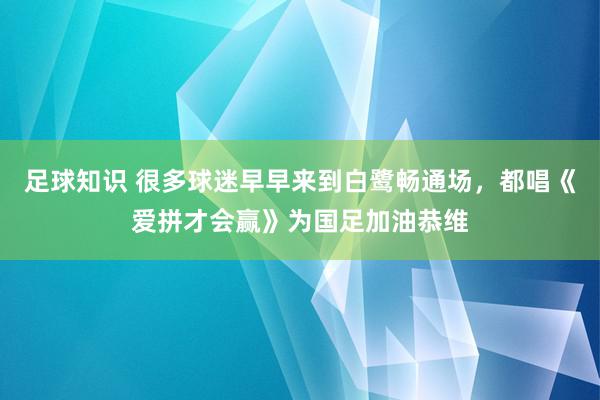 足球知识 很多球迷早早来到白鹭畅通场，都唱《爱拼才会赢》为国足加油恭维