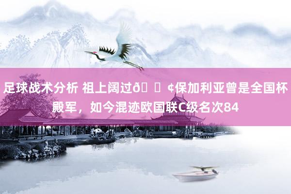 足球战术分析 祖上阔过😢保加利亚曾是全国杯殿军，如今混迹欧国联C级名次84