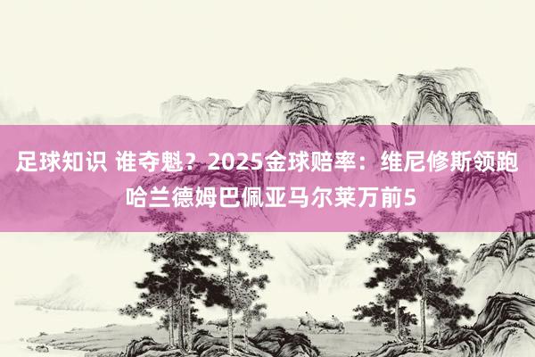 足球知识 谁夺魁？2025金球赔率：维尼修斯领跑 哈兰德姆巴佩亚马尔莱万前5