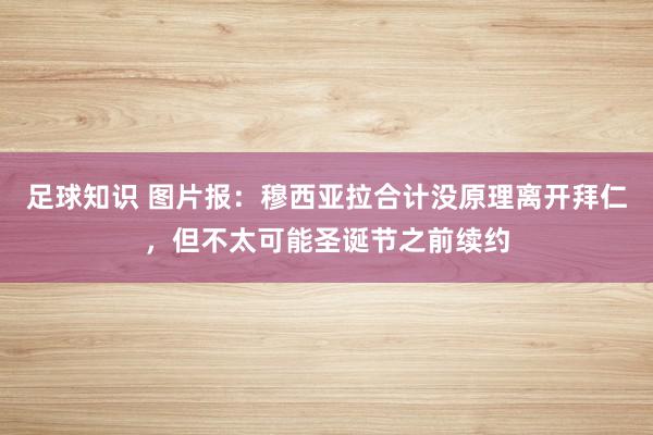 足球知识 图片报：穆西亚拉合计没原理离开拜仁，但不太可能圣诞节之前续约