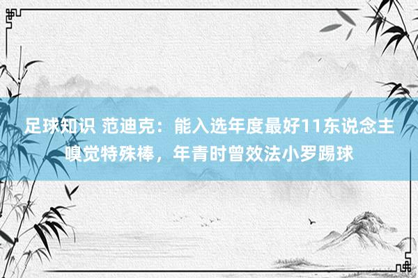 足球知识 范迪克：能入选年度最好11东说念主嗅觉特殊棒，年青时曾效法小罗踢球