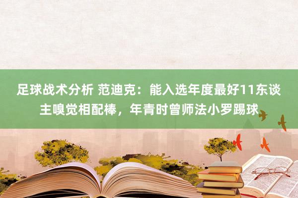 足球战术分析 范迪克：能入选年度最好11东谈主嗅觉相配棒，年青时曾师法小罗踢球