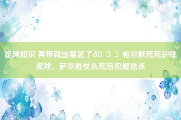 足球知识 再带就出禁区了😂帕尔默死死护住皮球，萨尔胜仗从死后犯规送点