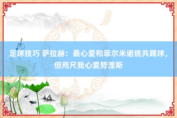 足球技巧 萨拉赫：最心爱和菲尔米诺统共踢球，但咫尺我心爱努涅斯