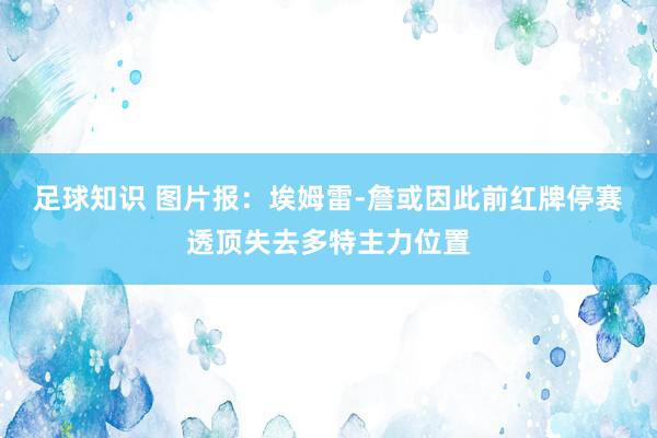 足球知识 图片报：埃姆雷-詹或因此前红牌停赛透顶失去多特主力位置