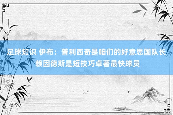 足球知识 伊布：普利西奇是咱们的好意思国队长 赖因德斯是短技巧卓著最快球员