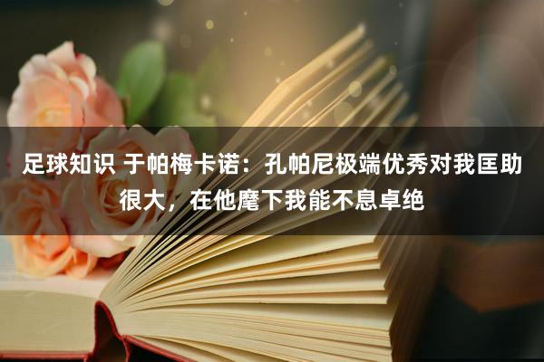 足球知识 于帕梅卡诺：孔帕尼极端优秀对我匡助很大，在他麾下我能不息卓绝