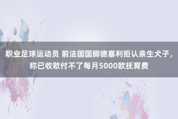 职业足球运动员 前法国国脚德塞利拒认亲生犬子，称已收歇付不了每月5000欧抚育费