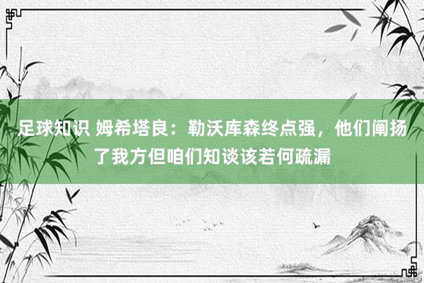 足球知识 姆希塔良：勒沃库森终点强，他们阐扬了我方但咱们知谈该若何疏漏