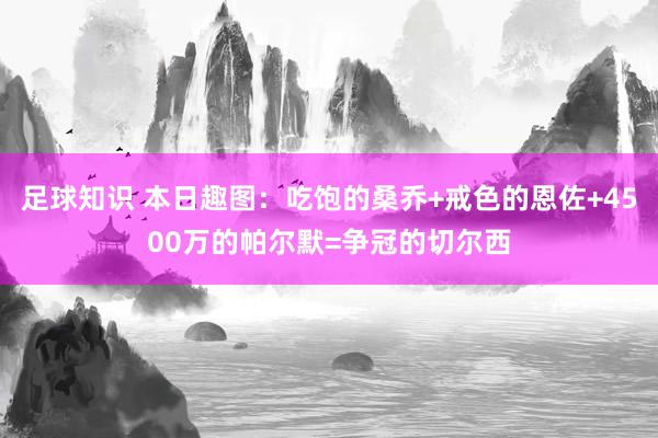 足球知识 本日趣图：吃饱的桑乔+戒色的恩佐+4500万的帕尔默=争冠的切尔西