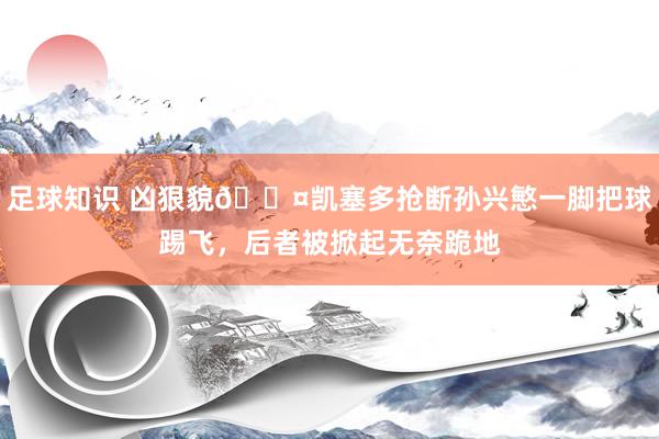 足球知识 凶狠貌😤凯塞多抢断孙兴慜一脚把球踢飞，后者被掀起无奈跪地