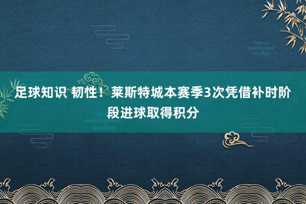 足球知识 韧性！莱斯特城本赛季3次凭借补时阶段进球取得积分