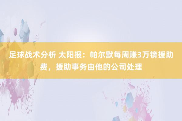 足球战术分析 太阳报：帕尔默每周赚3万镑援助费，援助事务由他的公司处理