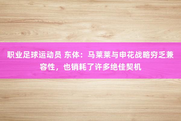 职业足球运动员 东体：马莱莱与申花战略穷乏兼容性，也销耗了许多绝佳契机