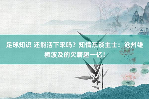 足球知识 还能活下来吗？知情东谈主士：沧州雄狮波及的欠薪超一亿！