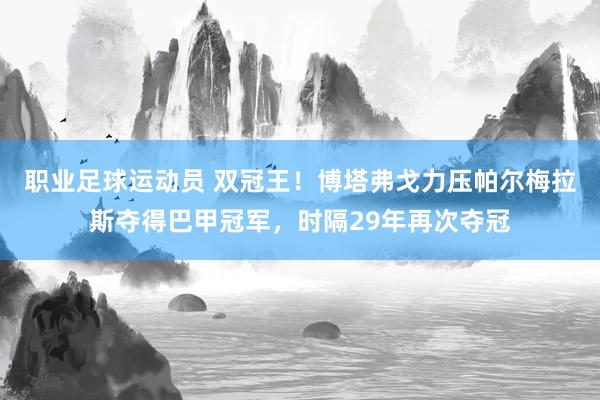 职业足球运动员 双冠王！博塔弗戈力压帕尔梅拉斯夺得巴甲冠军，时隔29年再次夺冠