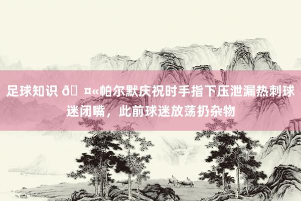 足球知识 🤫帕尔默庆祝时手指下压泄漏热刺球迷闭嘴，此前球迷放荡扔杂物