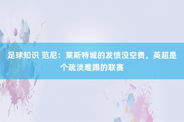 足球知识 范尼：莱斯特城的发愤没空费，英超是个疏淡难踢的联赛