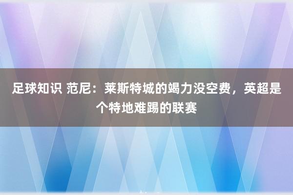 足球知识 范尼：莱斯特城的竭力没空费，英超是个特地难踢的联赛