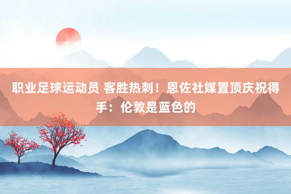 职业足球运动员 客胜热刺！恩佐社媒置顶庆祝得手：伦敦是蓝色的