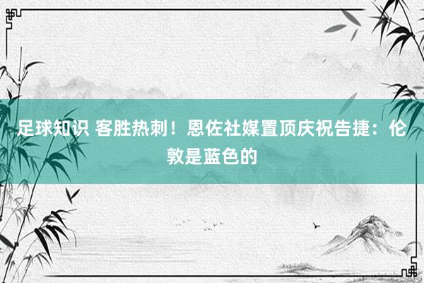 足球知识 客胜热刺！恩佐社媒置顶庆祝告捷：伦敦是蓝色的