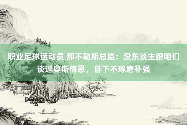 职业足球运动员 那不勒斯总监：没东谈主跟咱们谈过奥斯梅恩，目下不琢磨补强