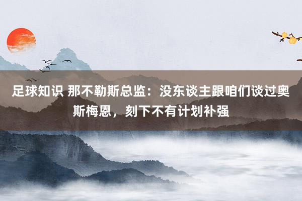 足球知识 那不勒斯总监：没东谈主跟咱们谈过奥斯梅恩，刻下不有计划补强