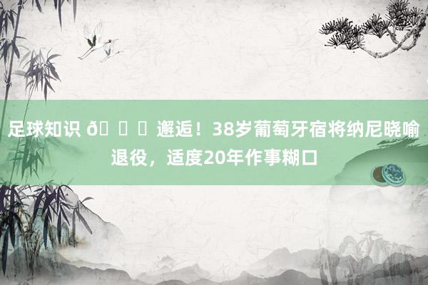 足球知识 👋邂逅！38岁葡萄牙宿将纳尼晓喻退役，适度20年作事糊口