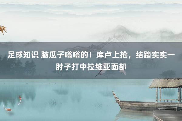 足球知识 脑瓜子嗡嗡的！库卢上抢，结踏实实一肘子打中拉维亚面部