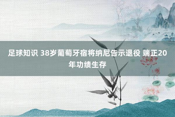 足球知识 38岁葡萄牙宿将纳尼告示退役 端正20年功绩生存