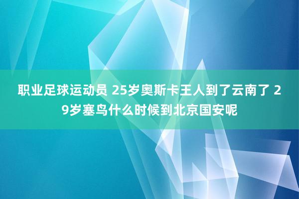 职业足球运动员 25岁奥斯卡王人到了云南了 29岁塞鸟什么时候到北京国安呢