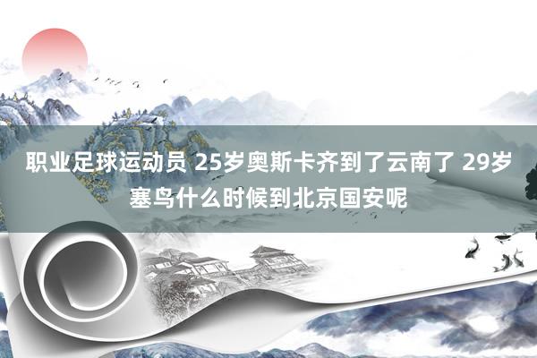 职业足球运动员 25岁奥斯卡齐到了云南了 29岁塞鸟什么时候到北京国安呢