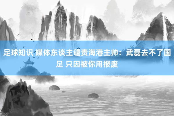 足球知识 媒体东谈主谴责海港主帅：武磊去不了国足 只因被你用报废